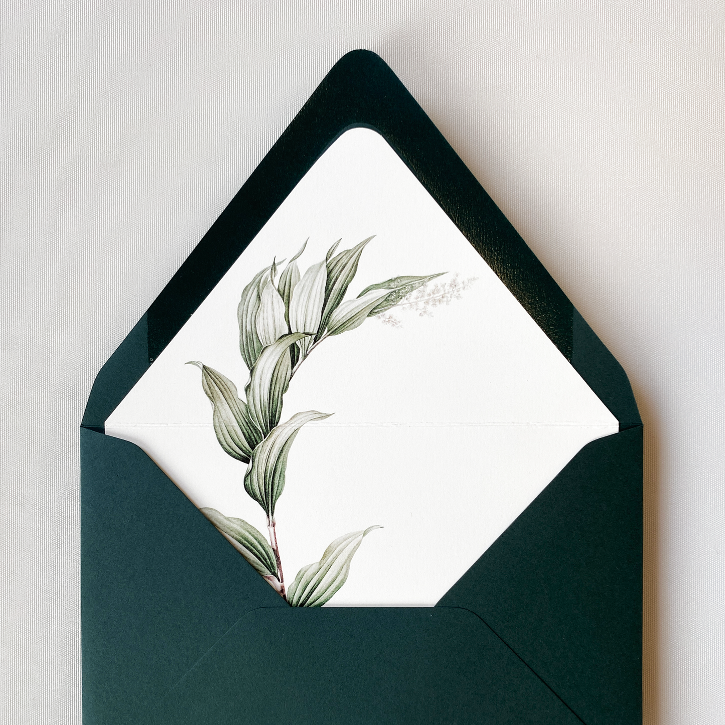 Konvolutt med liner - Sage