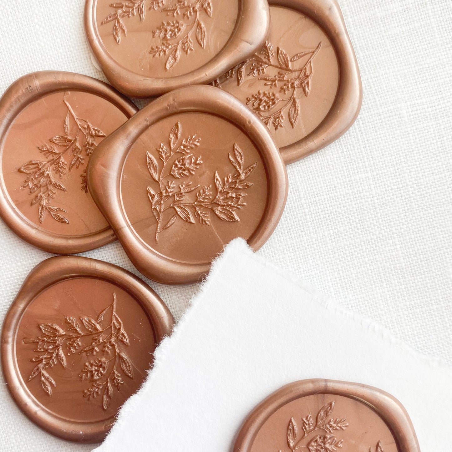 Vokssegl - Eucalyptus