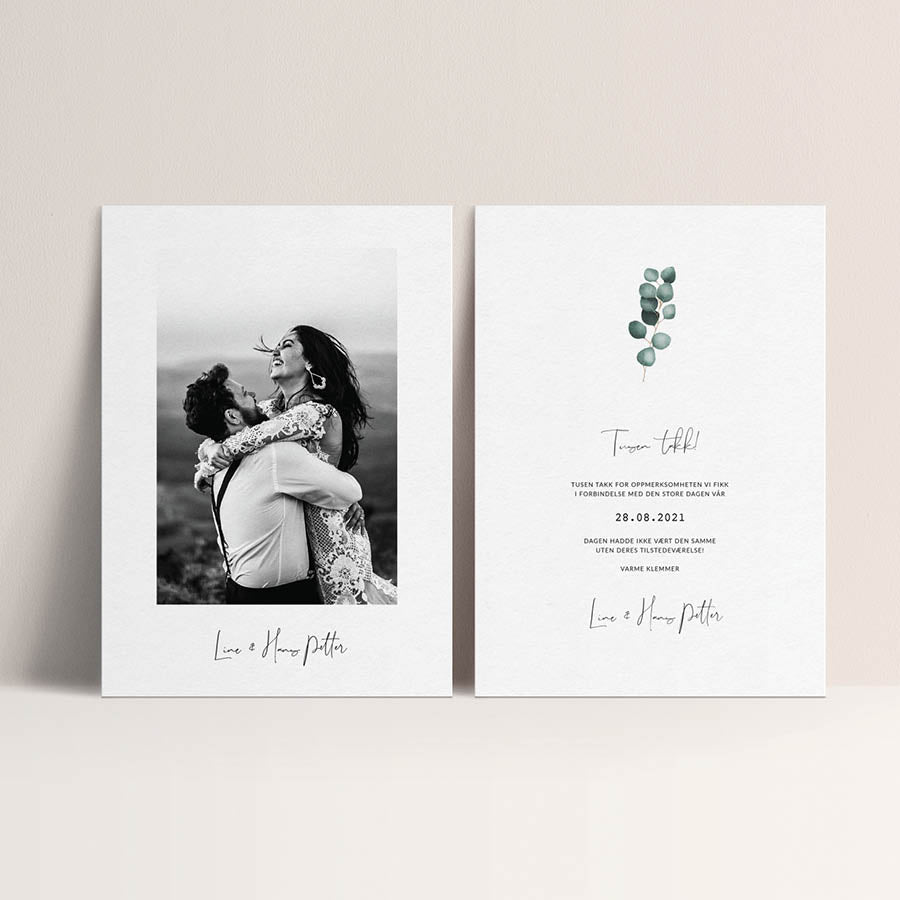 Takkekort - Eucalyptus