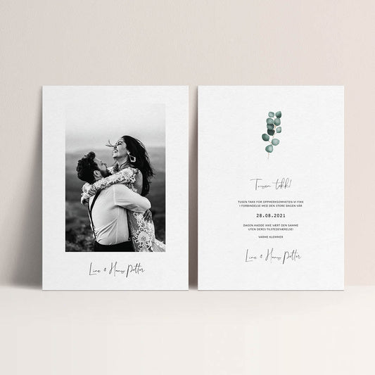 Takkekort - Eucalyptus